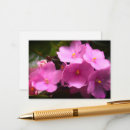 Search for african violet Anniversary