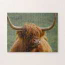 Search for highland cow puzzles Scotland