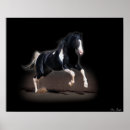 Search for white horse running posters Western
