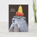 Search for groundhog day birthday cards Groundhogs
