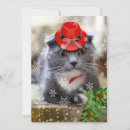 Search for scottish christmas cards Pet