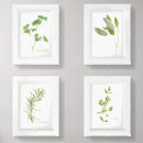 Search for kitchen herb art Green