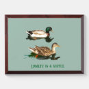 Search for duck awards Nature