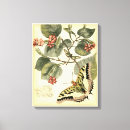 Search for butterfly canvas prints Red
