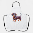 Search for cream dachshund Animal