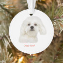 Search for maltese dog ornaments Cute