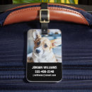 Search for corgi luggage tags Pembroke welsh corgi