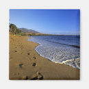Search for beach magnets Tropical