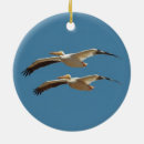 Search for pelican ornaments Nature
