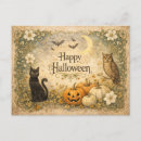 Search for art nouveau postcards Black cat