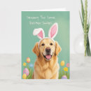 Search for golden retriever easter cards Funny