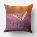 Search for owl pillows Bedroom