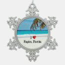 Search for naples florida ornaments Palm tree