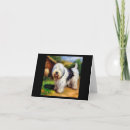 Search for old english sheepdog cards Canine