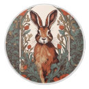 Search for rabbit knobs and pulls Hare