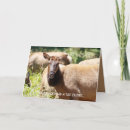 Search for elk birthday cards Funny