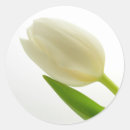 Search for tulip stickers White