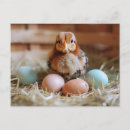Search for easter pig Eggs