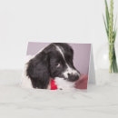 Search for english springer spaniel christmas cards Puppy