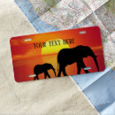 Search for elephant license plates Africa