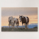 Search for horse puzzles Wildlife