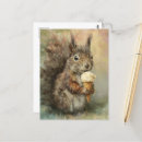 Search for wildlife postcards Adorable