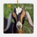 Search for goat greatest of all time gifts Farm