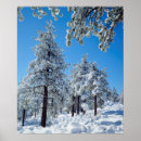 Search for snow covered trees posters Cold