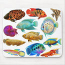 Search for aquarium gifts Fish