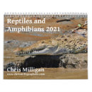 Search for snake calendars Amphibians