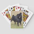 Search for pug playing cards Standing