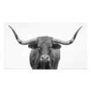 Search for texas longhorn gifts Farm