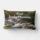 Search for great smoky mountains national park pillows tennessee