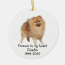 Search for dog sympathy gifts Death