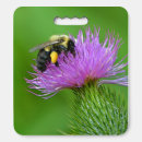 Search for kneeling pad Sports