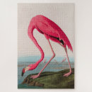 Search for flamingo puzzles Nature