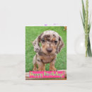 Search for dachshund birthday cards Sausage