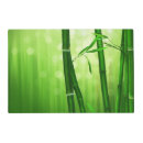 Search for asian placemats Bamboo