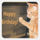 Search for happy birthday cat stickers Orange