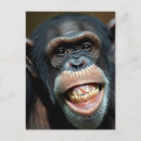 Search for chimpanzee postcards Funny