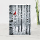 Search for birch trees christmas cards Cardinal