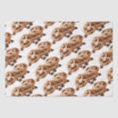 Search for bakery tissue paper Cafe