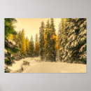 Search for snow covered trees posters Winter