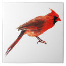 Search for cardinal tiles Bird