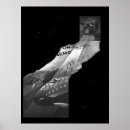 Search for finding nemo posters Cartoon