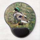 Search for mallard duck gifts Birds