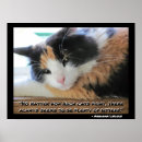 Search for funny cat and dog posters Kittens