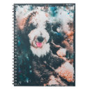 Search for sheepadoodle gifts Puppy