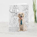 Search for eyeglasses cards Dog