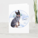Search for australian cattle dogs cards Herding